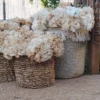 Cesto de flores de cafe