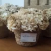 Cesto de flores de café