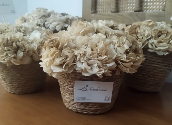 Cesto de flores de café